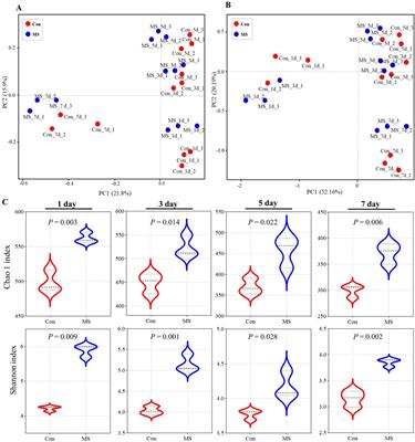 The microbiota and metabolome dynamics and their interactions modulate solid-state fermentation process and enhance clean recycling of brewers’ spent grain